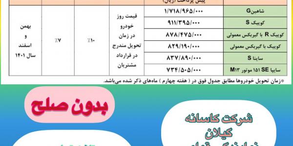 پیش فروش مشارکت در تولید